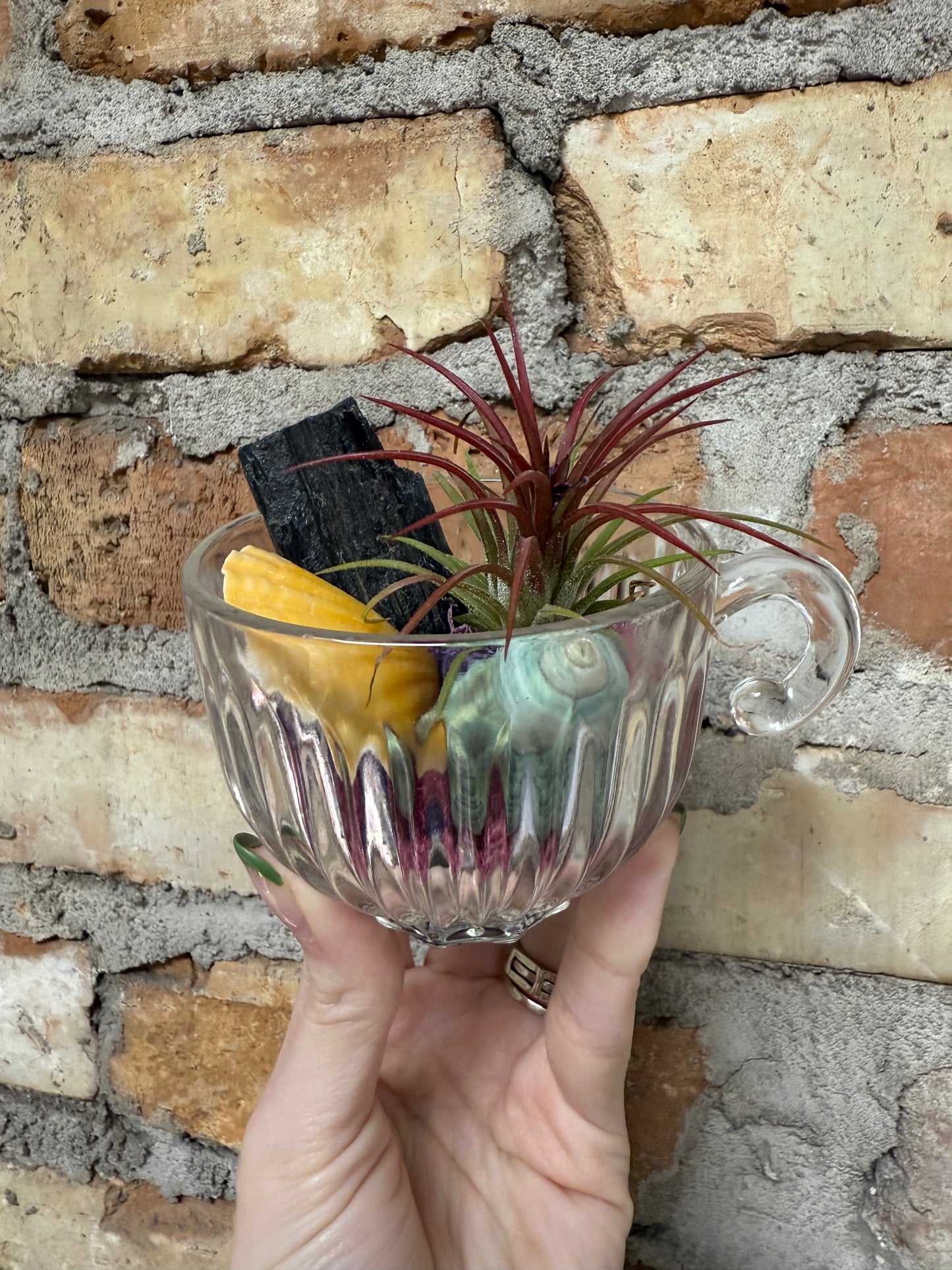 11/9 Vintage Air Plant Experience