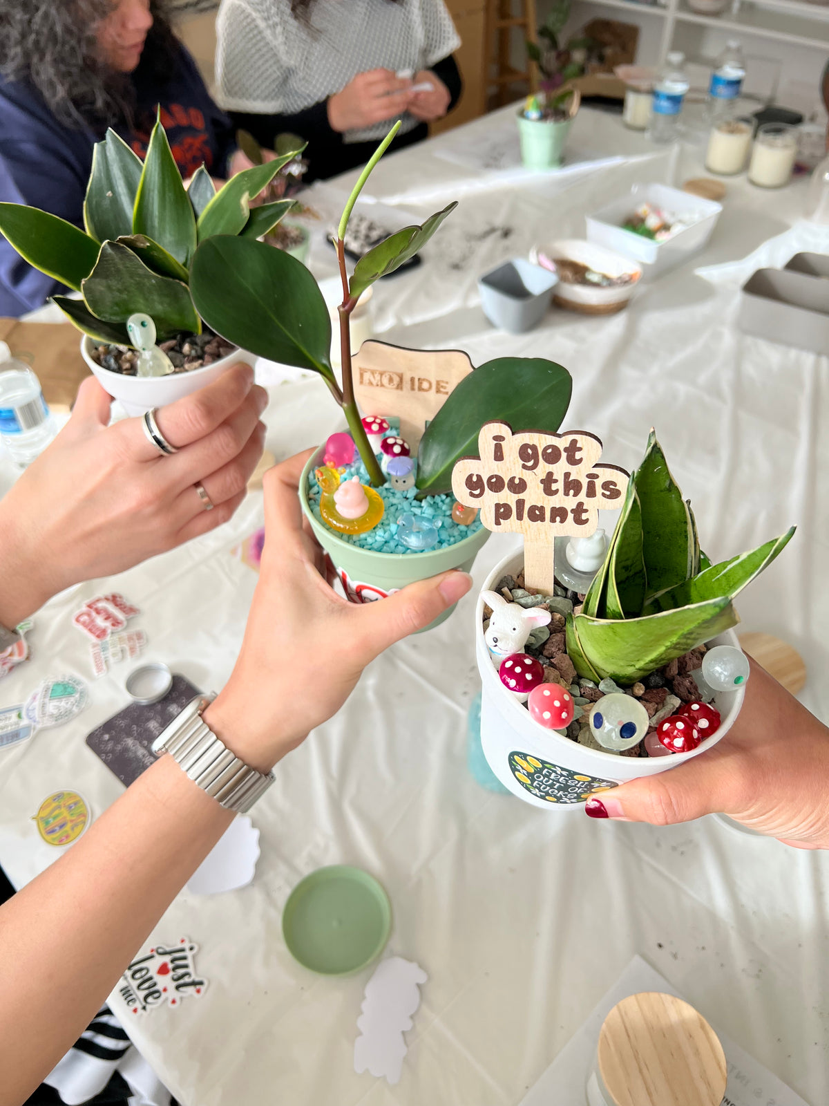 Plant Therapy - Sentient Self