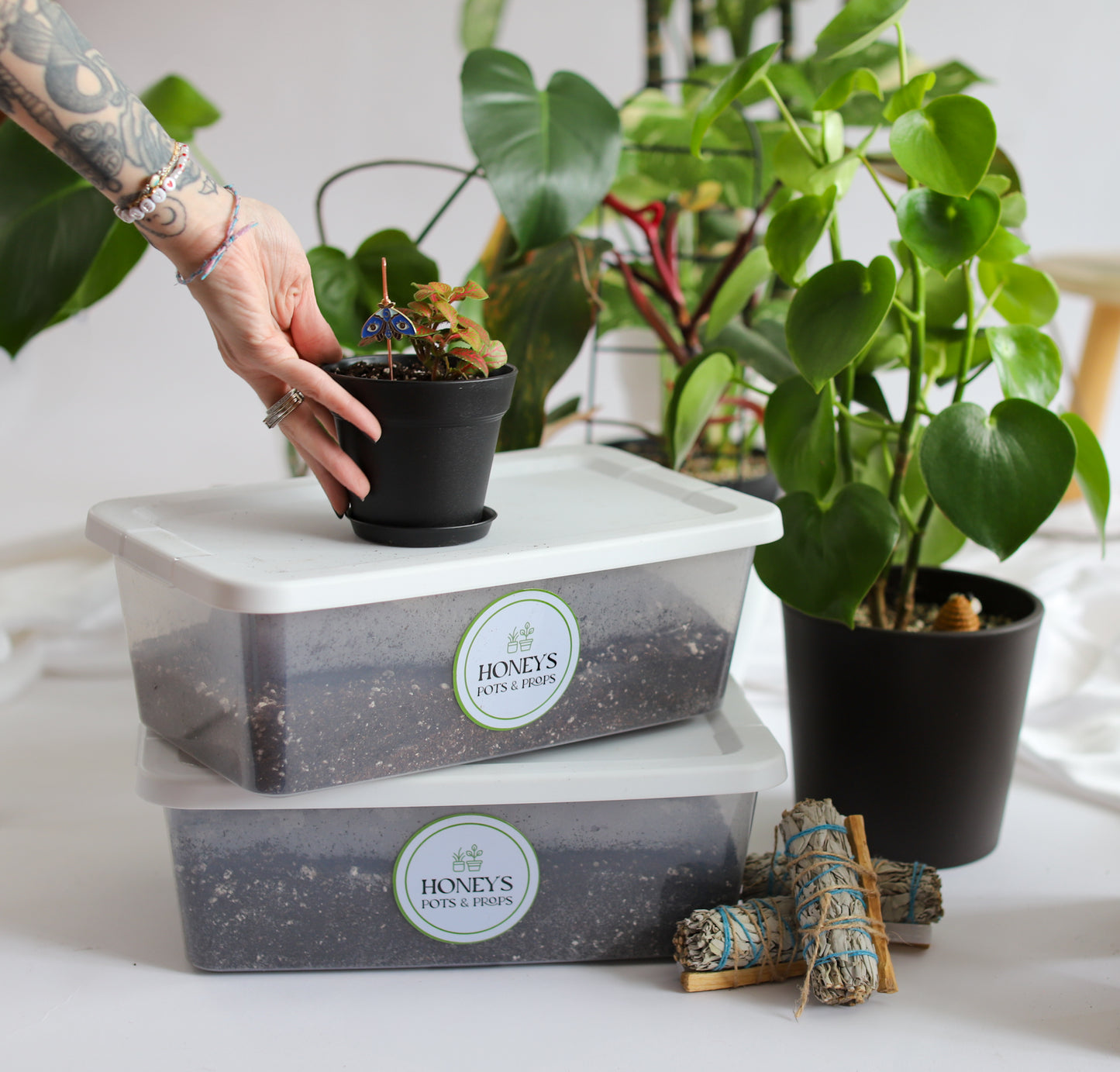 Mini Plant Therapy Kit