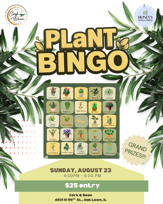 Plant BINGO, Oak Lawn- August