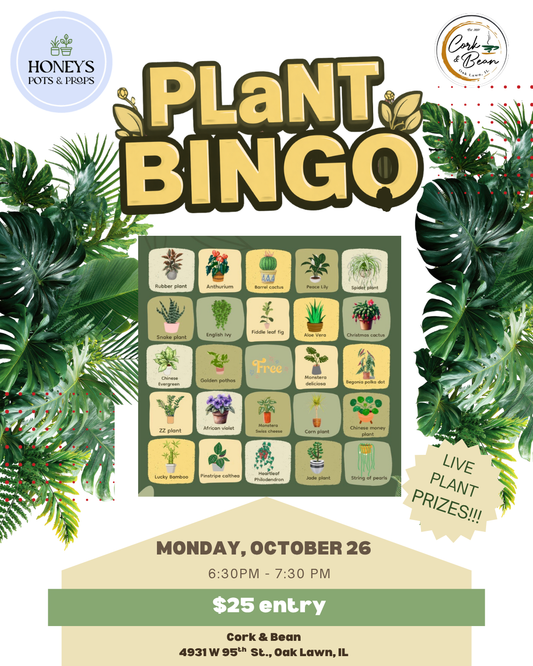 Plant BINGO, Oak Lawn October
