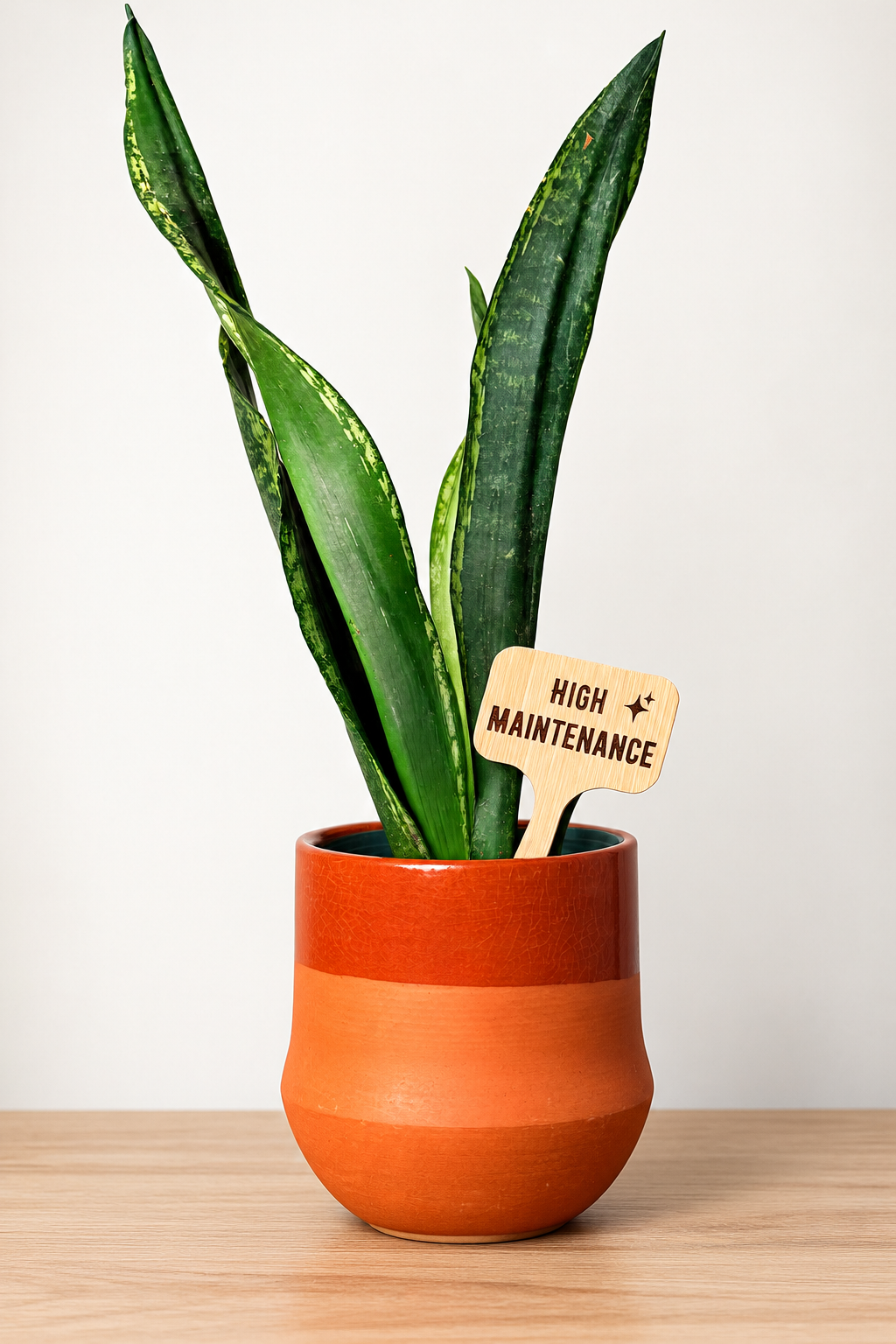 Snarky Plant Stakes