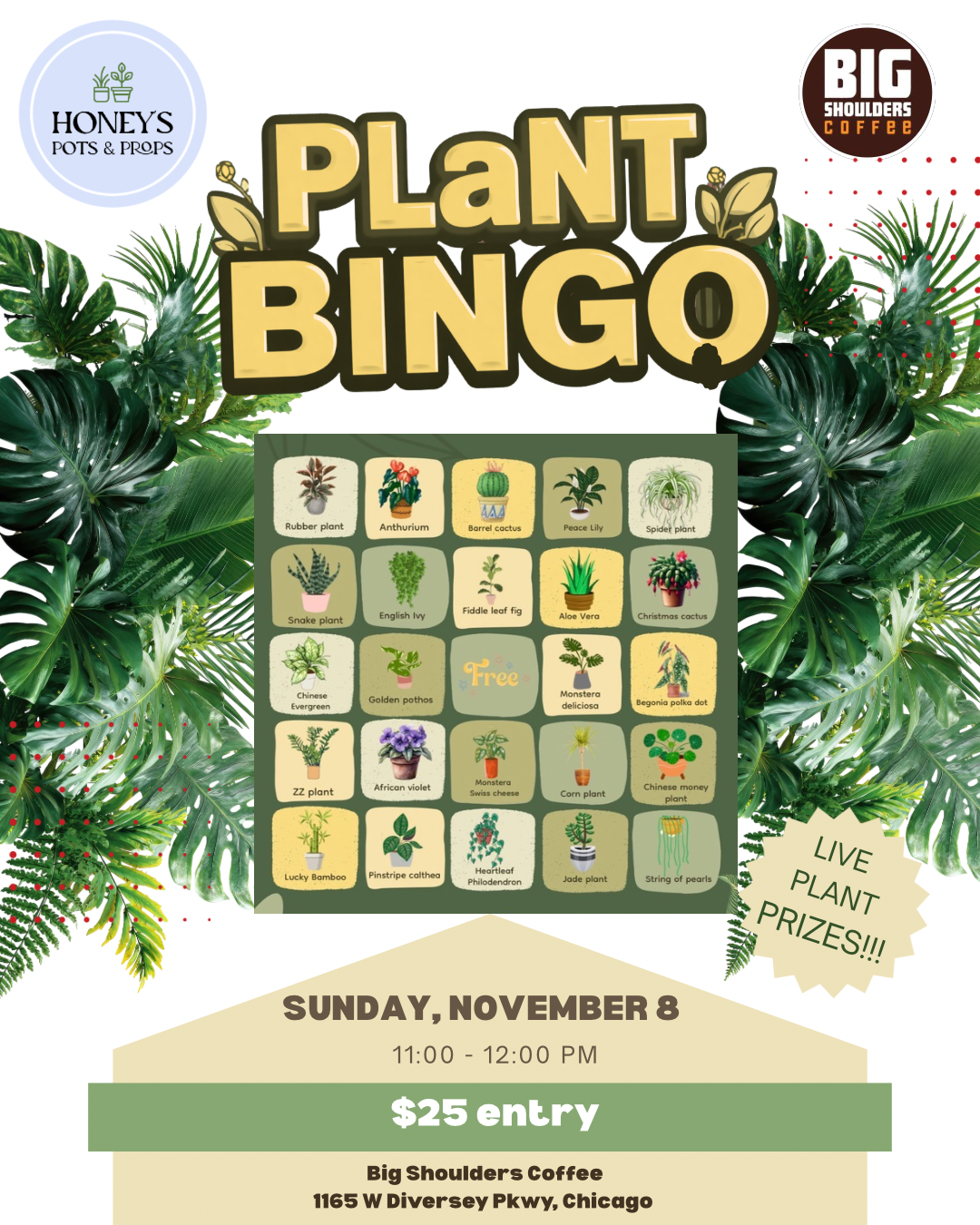 Plant BINGO, BSC