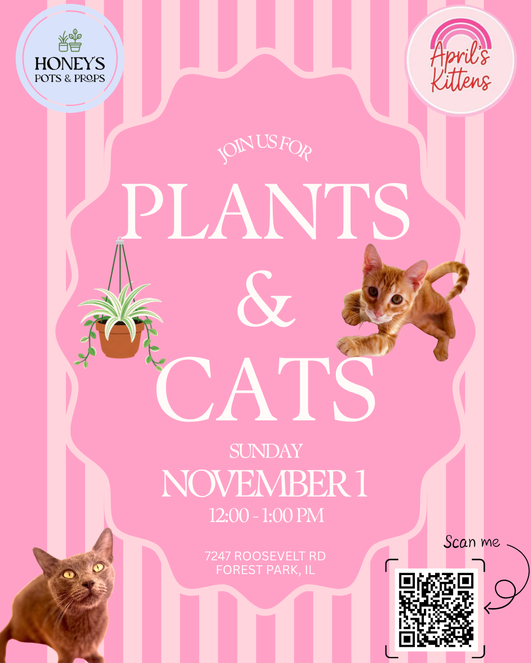 Plants & Cats November