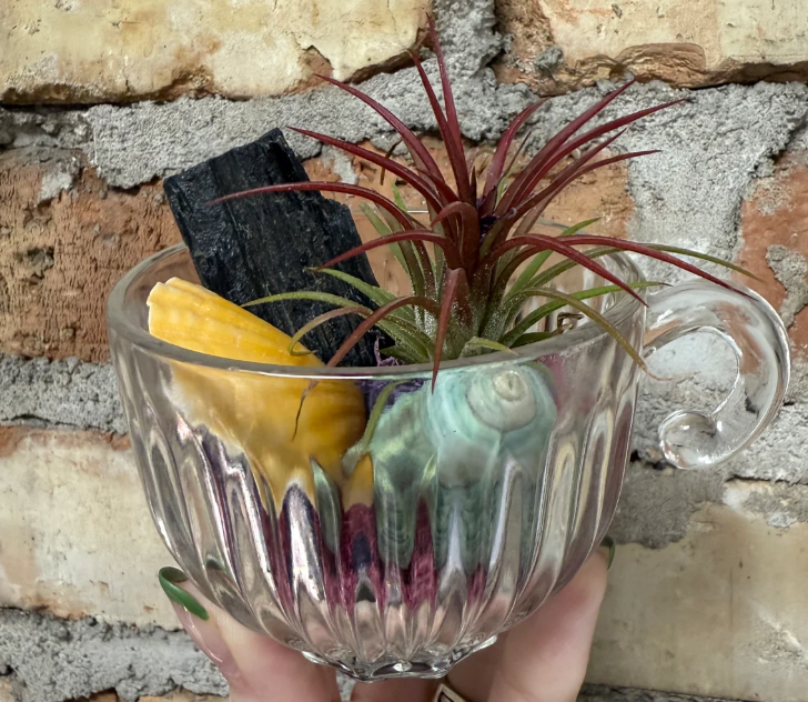 Royal Tea Cup DIY Kits